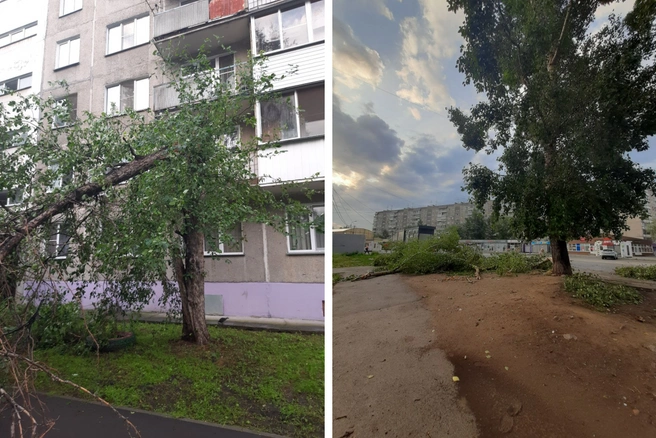 Снесло деревья на Полтавской, 45 и возле остановки «Волховская» | Источник: читатель НГС