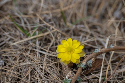 Федул Ветреник: что нельзя делать 18 апреля?