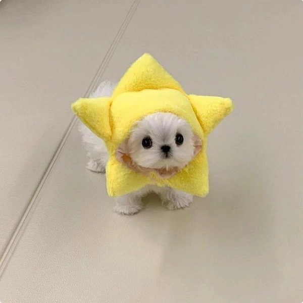 Источник: соцсети