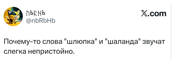 Источник: X (Twitter)