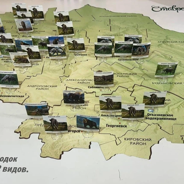 Карта находок остатков хоботных животных на территории Ставрополья | Источник: Дарья Гранкина / 26.RU