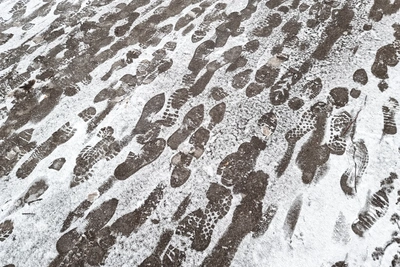 Путешественники пешком во Владивосток получили травму