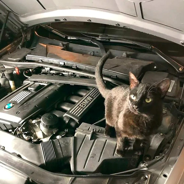 Источник: соцсети