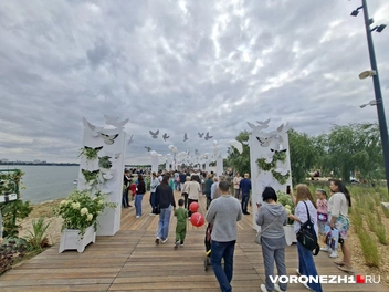 Источник: Алёна Воропаева / Voronezh1.ru