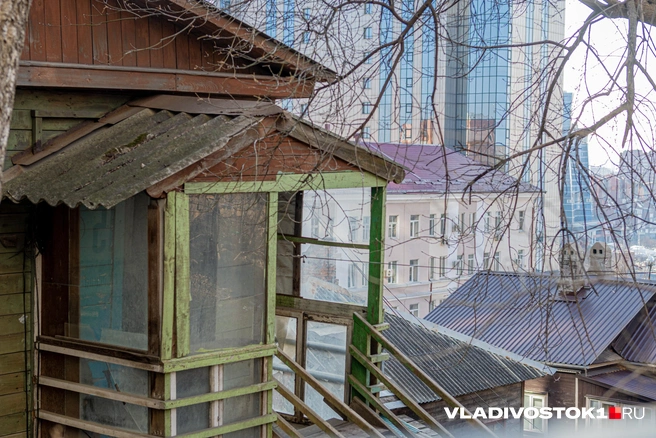 Источник: Елена Буйвол / VLADIVOSTOK1.RU