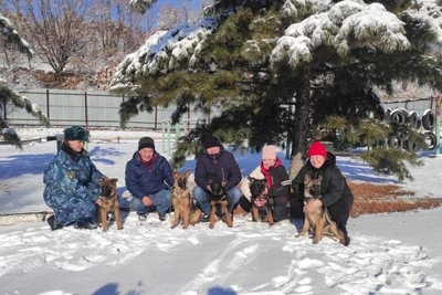 Tailed Recruits: Primorsky GUFSIN Kennel Sends Puppies to Transbaikal