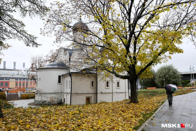 Какие приметы существовали 2 ноября? | Источник: Артём Устюжанин / MSK1.RU