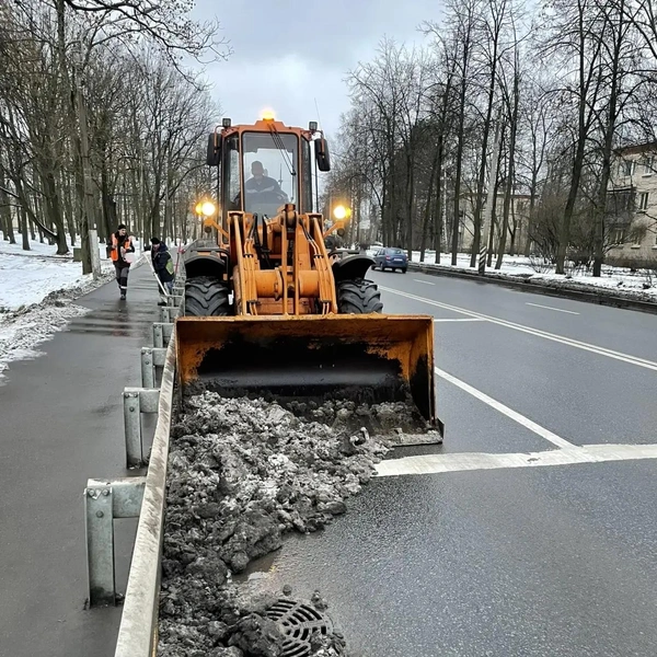Источник: Комитет по благоустройству Санкт-Петербурга