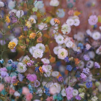 Аватарка Иоана Михайловна