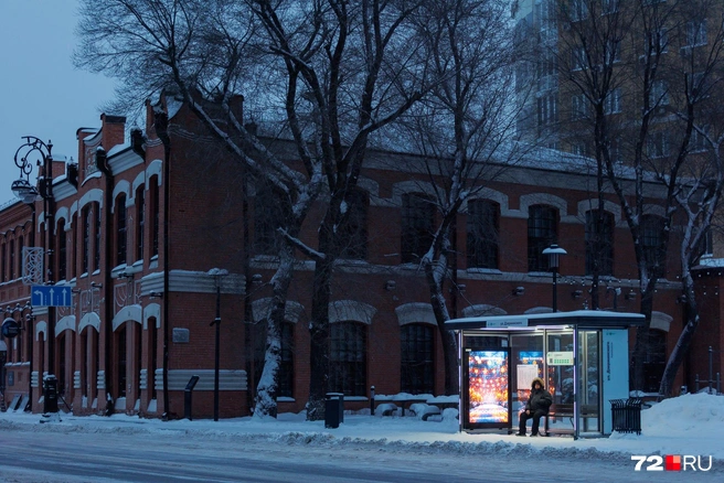 Источник: Ирина Шарова / 72.RU