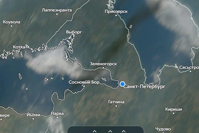 Космические снимки зафиксировали дымовой шлейф из Ленобласти
