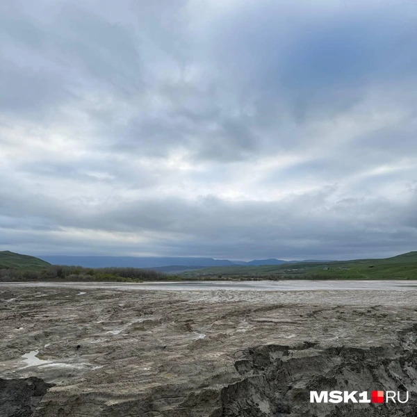 Ил за дамбой | Источник: Иветта Авраамова / MSK1.RU