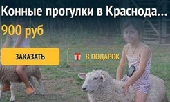 14 самых смешных картинок недели и «эвакуационный крокодил»