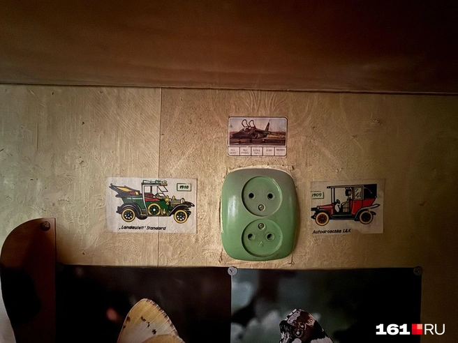 Источник: Марина Рыбалкина / 161.RU