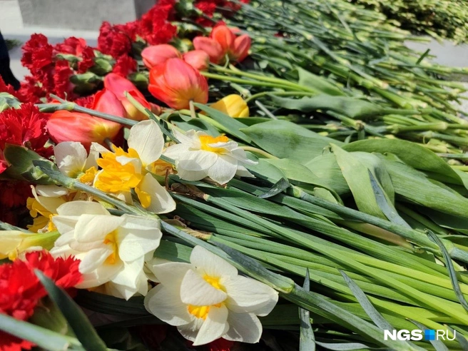 Попадались и нарциссы | Источник: Мария Тищенко / NGS.RU