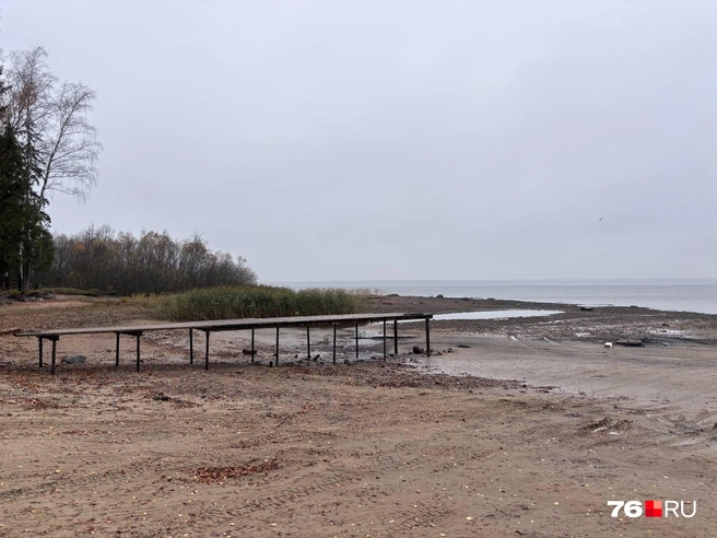 Ярославцы забеспокоились о состоянии Рыбинского водохранилища. Состояние водохранилища в октябре 2025 года | Источник: читатель 76.RU