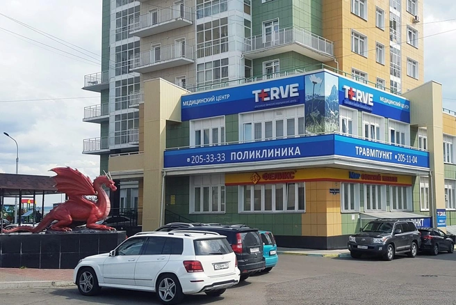 Источник: медицинский центр TERVE