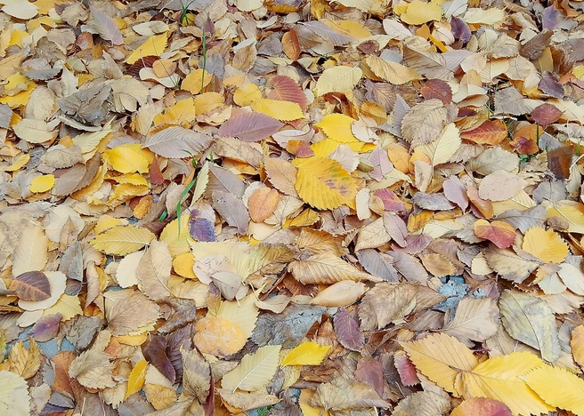 Слышите это тихое шуршание? | Источник: читатели V1.RU