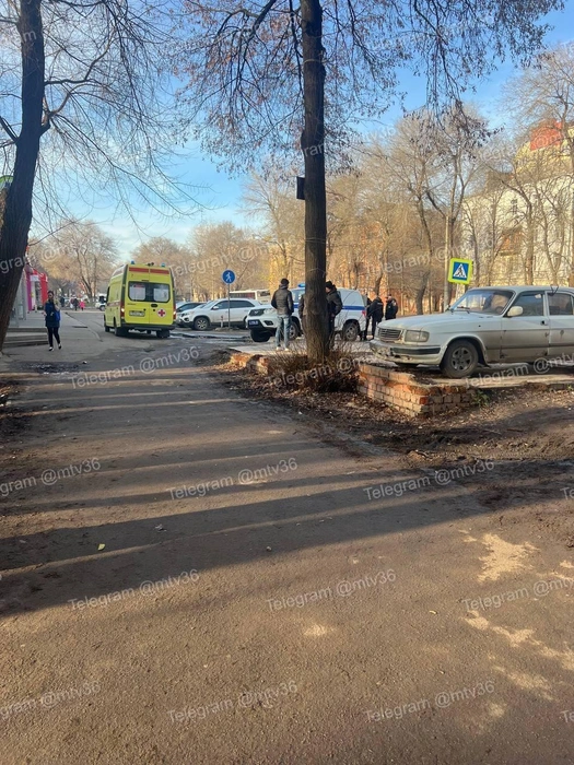 Источник: «Мой и твой Воронеж» / T.me