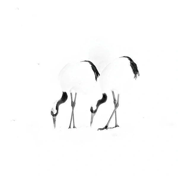 Источник: Pam Dorner / Exposure One Awards 2025