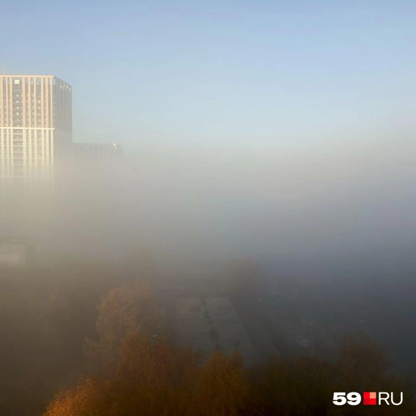 Источник: читатель 59.RU