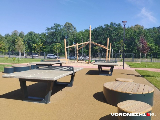 Источник: Дмитрий Волгин / Voronezh1.ru