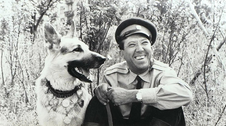 Кто этот хороший мальчик: угадайте фильм СССР по собаке