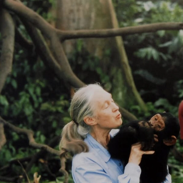 билл гейтс, билл гейтс состояние, жена билла гейтса, почему жена ушла от билла гейтса, мелинда гейтс, билл и мелинда гейтс, мелинда гейтс развелась | Источник: Социальные сети