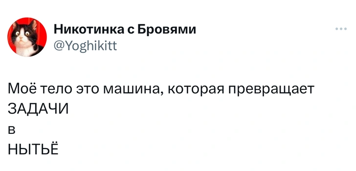 Источник: Twitter (X)