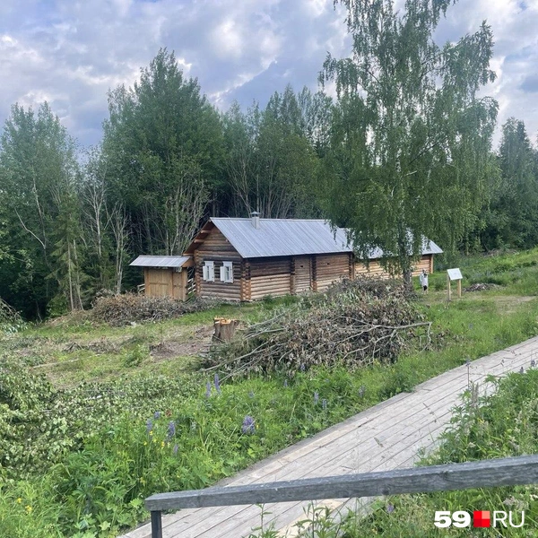 Ветки сложены в кучи | Источник: Екатерина Вохмянина / 59.RU