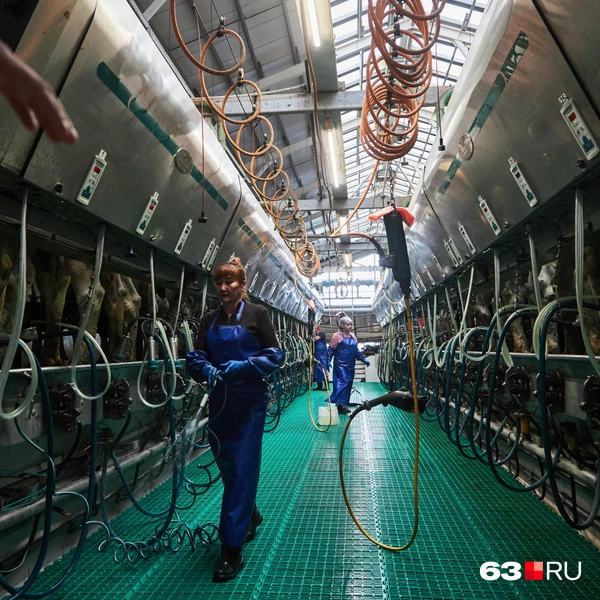 Источник: Роман Данилкин / 63.RU