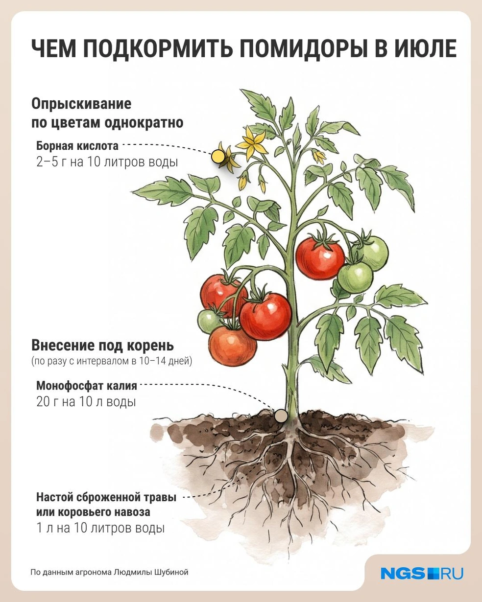 Источник: Филипп Сапегин / Городские медиа
