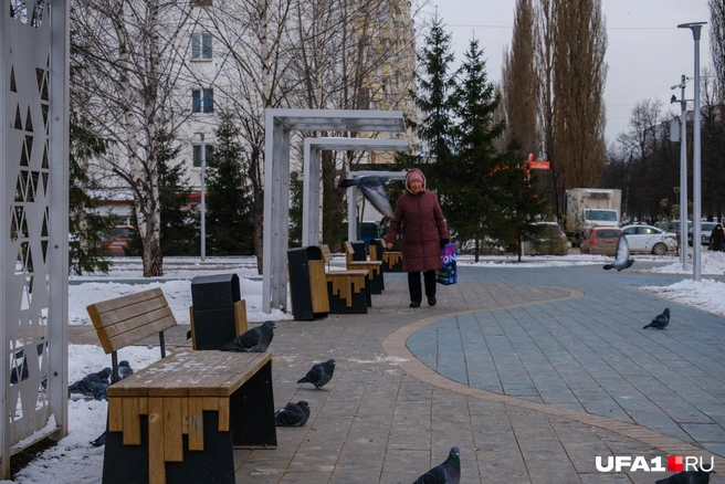 А вот кормить голубей не всегда | Источник: Булат Салихов / UFA1.RU