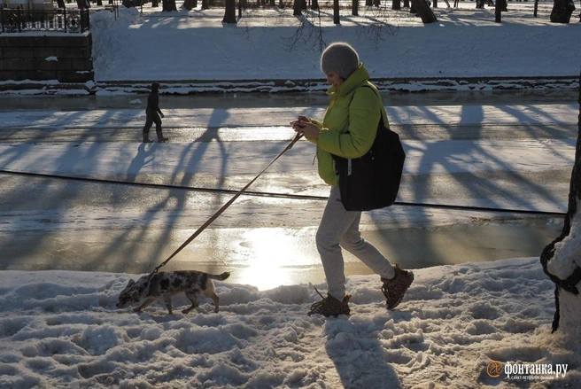 Встречаем солнце в Петербурге. Но в течение дня погода ухудшится | Источник: Михаил Огнев / «Фонтанка.ру»