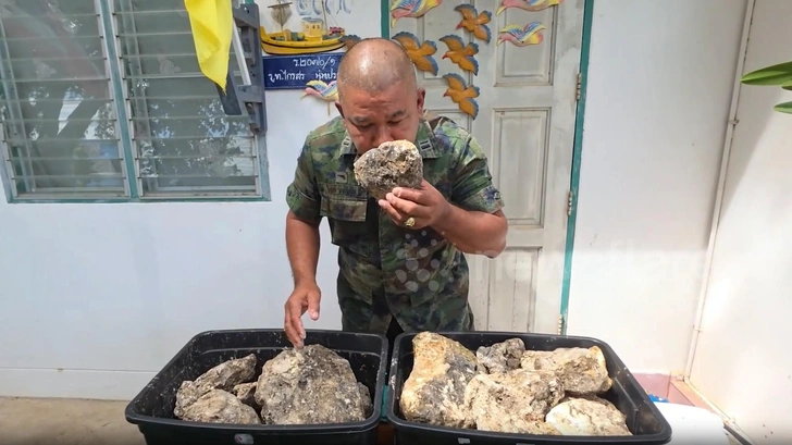 Источник: Newsflare