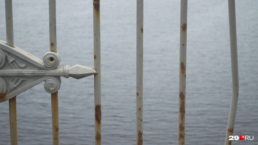 Источник: Антон Данилов / 29.RU