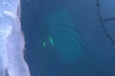 СК допросит выжившего туриста после трагедии на Байкале