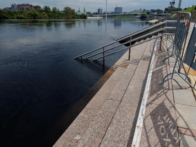 Источник: Ирина Шарова / 72.RU