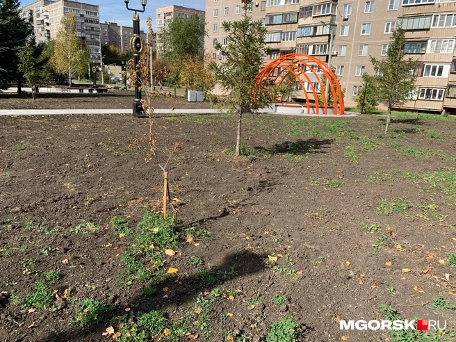 Источник: Анна Лялькова / MGORSK.RU