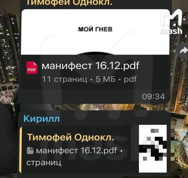 Манифест, который разослал одноклассникам нападавший | Источник: Mash / T.me