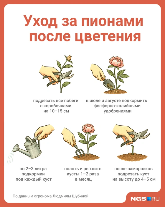 Сохраните себе эту полезную картинку | Источник: Юрий Орлов / Городские медиа