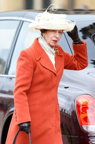 2016 годПринцесса Анна