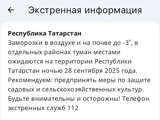 Источник: МЧС