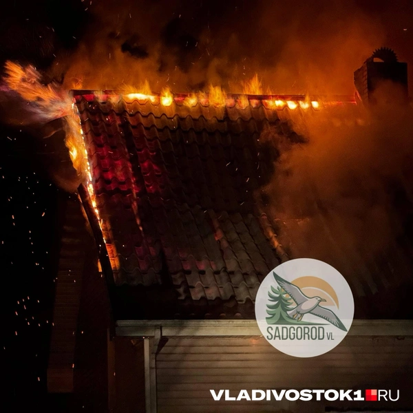 Источник: Садгород VL • Новости и события пригорода Владивостока