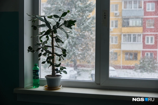 На Адриена Лежена отопления нет в нескольких домах | Источник: Александр Ощепков / NGS.RU