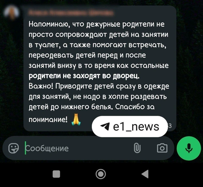Такое сообщение родители получили в общем чате ребят, занимающихся во дворце | Источник: читательница E1.RU