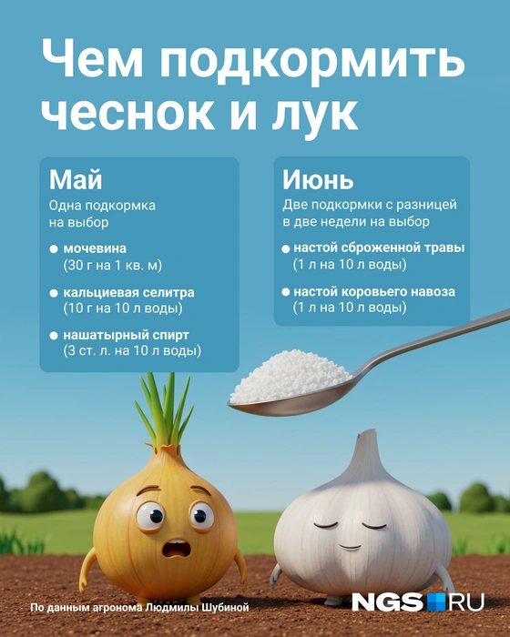 Всегда нужно строго следовать инструкции на упаковке минеральных удобрений | Источник: Юрий Орлов / Городские медиа