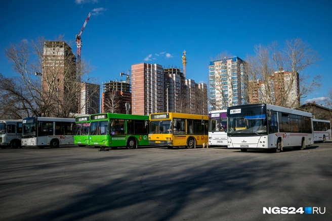 Пока в Красноярске есть только дизельные автобусы и электробусы | Источник: Артем Ленц / NGS24.RU