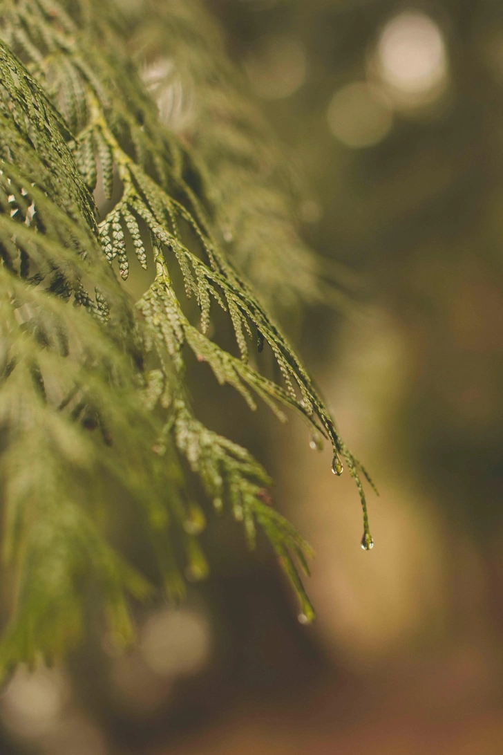 Источник: Unsplash