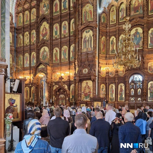 Проситься с директором депобра пришли сотни нижегородцев | Источник: Валерия Коростелева / NN.RU